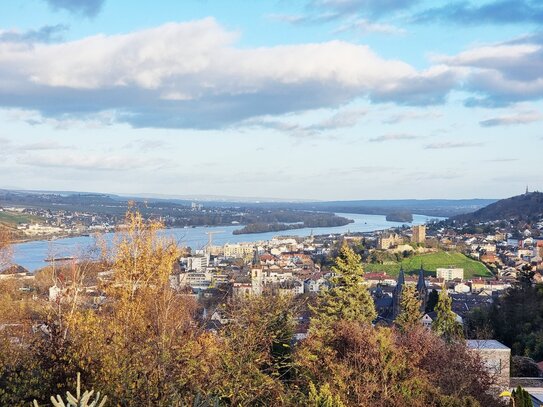 RHEINBLICK pur - Einfamilienhaus mit Platz für die ganze Familie!