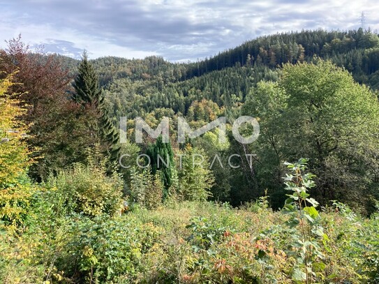 Grundstück am Semmering in ruhiger Siedlungslage!