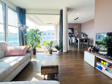 Sehr gut gepflegte und moderne 3-Zimmer-Wohnung mit Rheinblick in Ludwigshafen Süd