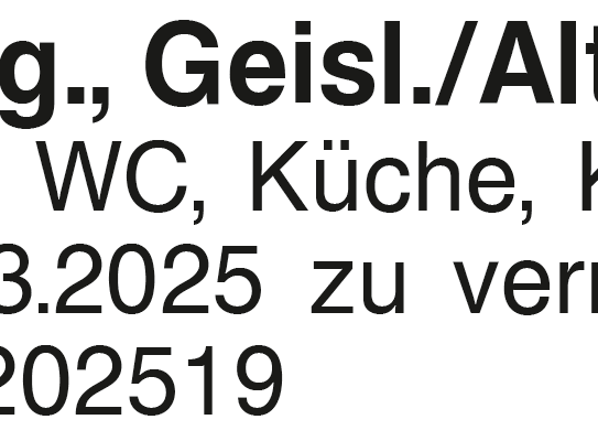 4-Zi.-Whg., Geisl./Altenstadt