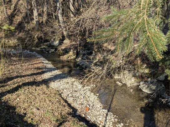 Idyllisches Grundstück am Bach