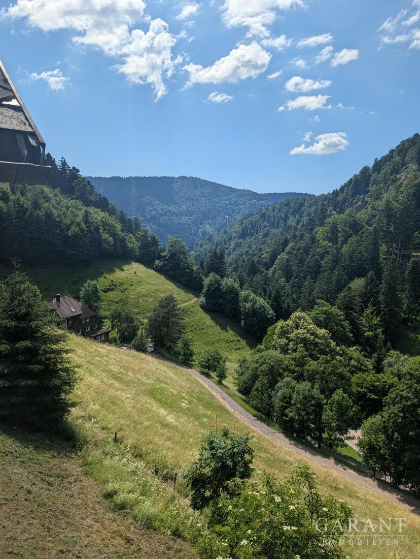 Weit draußen in Alleinlage! Schönes Einfamilienhaus in der Ursprünglichkeit der Natur von Gütenbach. – 78148 Gütenbach, 78148 Gütenbach – Vorschaubild 4