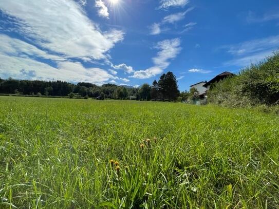 Wohnbauförderung möglich! Ökologisch nachhaltige 5 Zimmer Gartenwohnung in Wals bei Salzburg