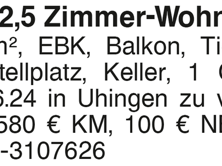 Helle 2,5 Zimmer-Wohnung