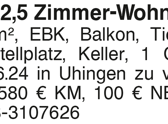 Helle 2,5 Zimmer-Wohnung