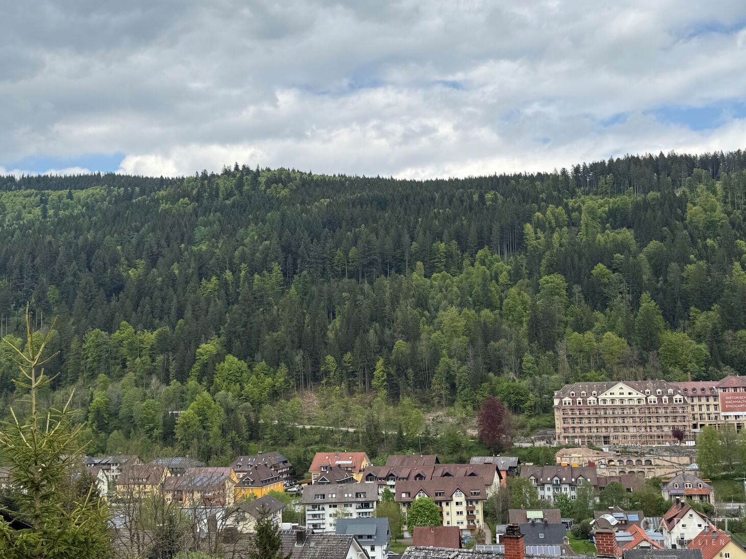 Naturnahes Mehrfamilienhaus mit drei Wohneinheiten und großem Garten in schöner Aussichtslage – 79837 St. Blasien, 79837 St. Blasien – Vorschaubild 17