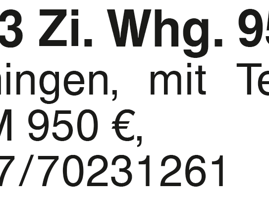 Schöne 3 Zi. Whg.