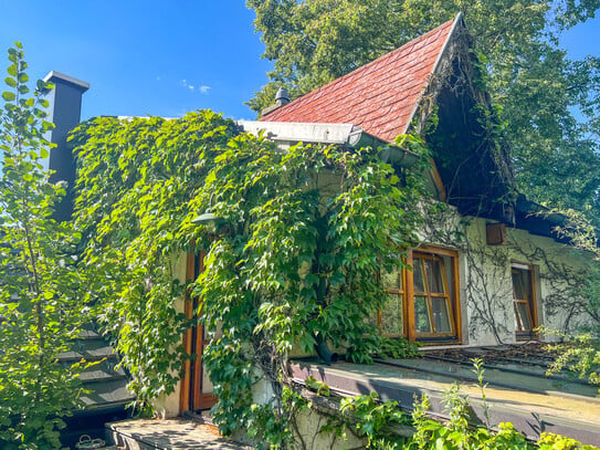 Liebreizendes Einfamilienhaus im schönen Weinviertel