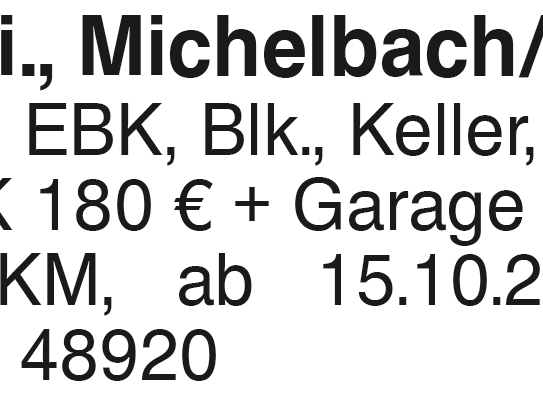 3 1/2 Zi., Michelbach/Bilz