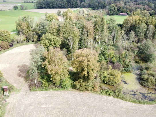 Seltene Gelegenheit - Idyllisches Freizeitgrundstück - Wald, Wiese und eigene Teiche