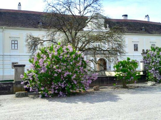 2471 Rohrau, Schlossgastronomie wird neu vergeben- ablösefrei !