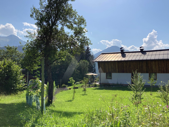 Sonniges Häuschen mit Weinstöcken in Südhanglage