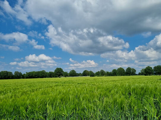 Landwirtschaftliche Flächen in Petershagen-Friedewalde