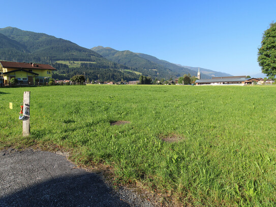 554 m² sonniges Grundstück in Ortsrandlage