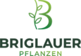 Briglauer Pflanzen GmbH