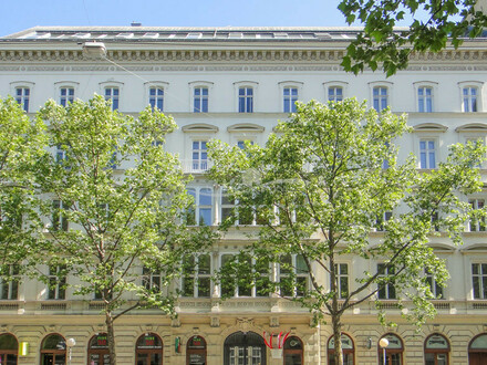 Sonnige Neubauwohnung im Palais Rohan