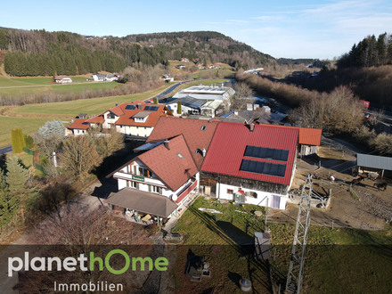 Florierendes Motel, glückliche Pferde und entspanntes Camping