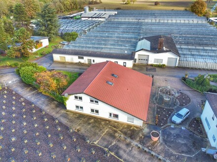Vielseitiges Wohn- und Geschäftshaus in Hagenbach: 400 m² Gesamtfläche für Wohnen und Arbeiten