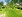 Idyllische Ruhelage im grünen Hügelland Südburgenlands - Geräumiges Haus mit angenehmer Gartengröße