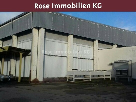 ROSE IMMOBILIEN KG: Lagerhalle mit 8,5 m Höhe, Kühlzellen und Außenfläche zu vermieten!