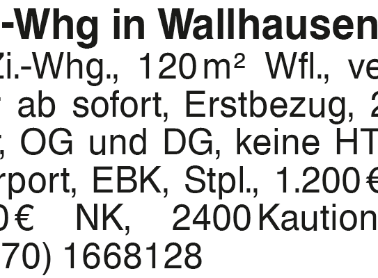 4-Zi.-Whg in Wallhausen