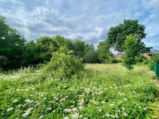 Für Naturliebhaber - Idyllisches Grundstück im Biosphärenreservat in Neuhof - OT von Zarrentin