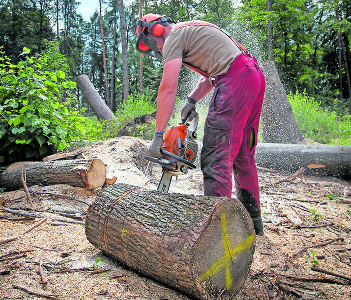 Holz sägen