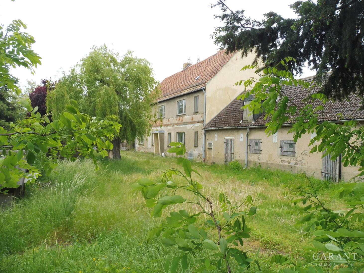 Ländliche Idylle in Nordsachsen – 04874 Belgern, 4874 Belgern – Vorschaubild 7