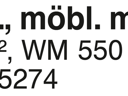 2-Zi.-Whg- möbl. mit EBK