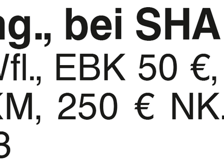 3- Zi.- Whg., bei SHA