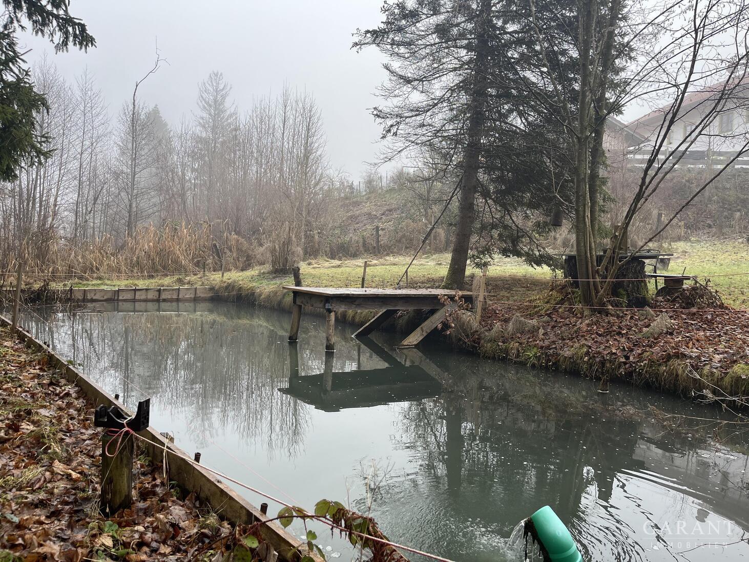 Naturrefugium in Großweil - Doppelhaushälfte mit großem Garten, Fischweiher & Bachlauf – 82439 Großweil, 82439 Großweil – Vorschaubild 9