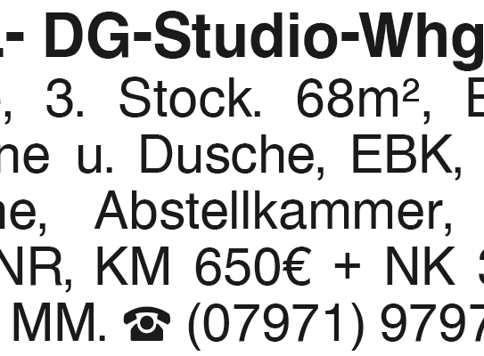 2,5 Zimmer DG Studio Wohnung