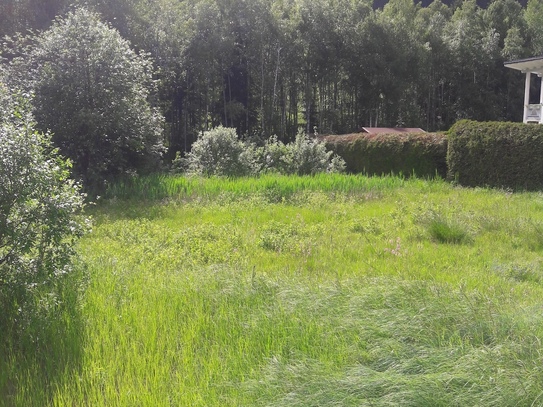 Sonniger Baugrund in Eben im Pongau - 2100 m²