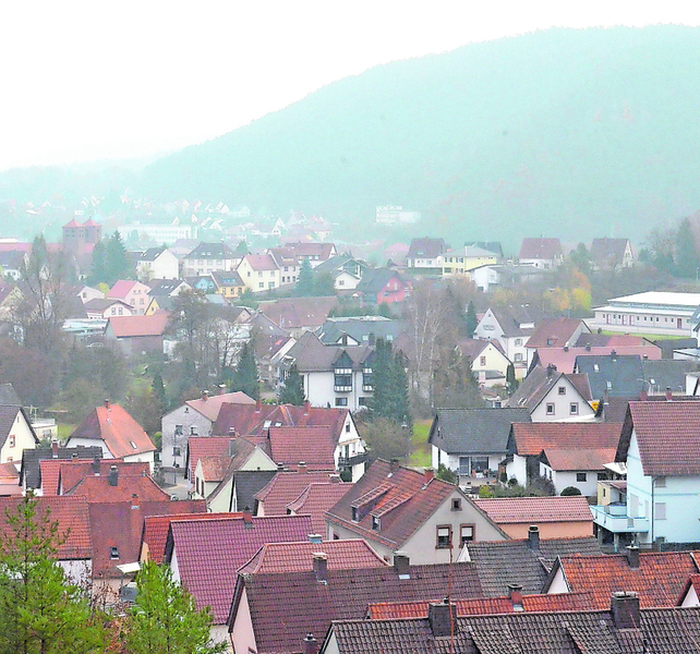 Ortsansicht Hauenstein