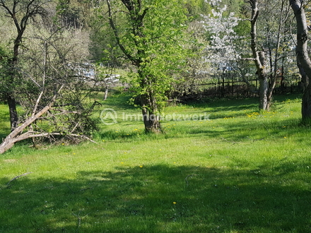 idyllisches Freizeit- und Erholungsgrundstück in Greiz/Neukurtschau