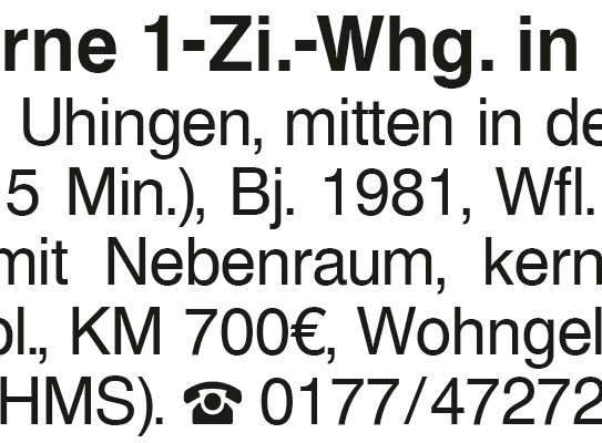 1-Zi.-Whg. Uhingen