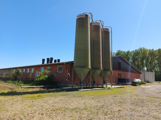 Außenmaststall mit 2000 Plätzen und landwirtschaftliche Flächen in Rahden (NRW) zu verkaufen gegen Gebot!