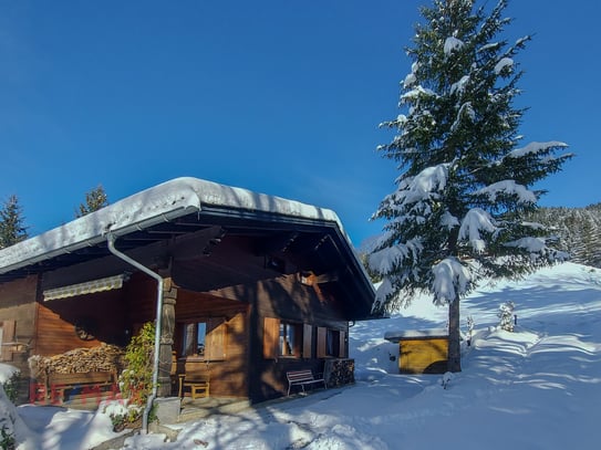 Ihr Rückzugsort in der Bergidylle - Ferienhaushälfte in Sibratsgfäll