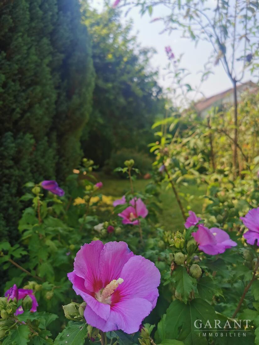 Freistehend und mit großem Garten – 71522 Backnang, 71522 Backnang – Vorschaubild 5