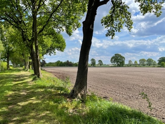 ca 2,3 Ha Ackerland in Edewecht / Husbäke