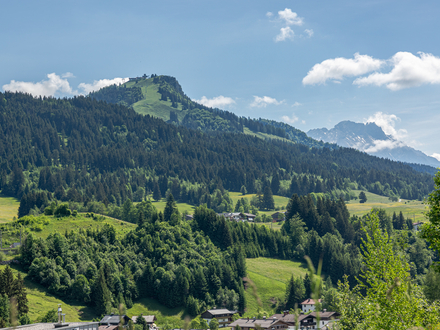 Chalet-Wohnung Steinbergblick #1