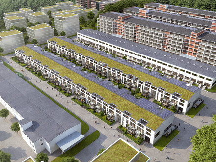3 Zimmerwohnung mit eigenem Garten