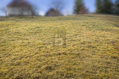 Real Estate Title Image Background