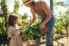 Gartennutzung für Mieter