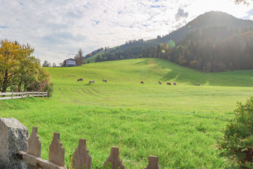 KITZIMMO-Mietwohnung an der Skipiste in Kirchberg.