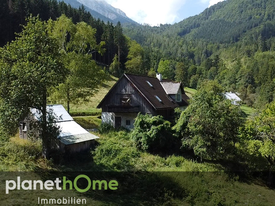 Rarität: Waldbauernhaus im Naturpark Ötscher-Tormäuer