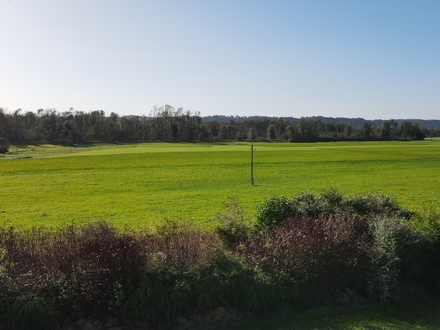 Baugrundstück ohne Bauzwang