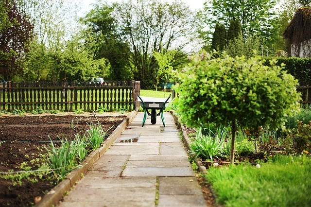 Schrebergarten_Bedeutung.jpg