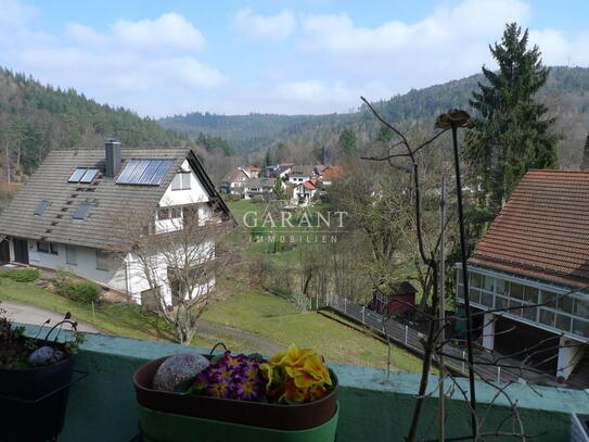 Renovierte Wohlfühlwohnung mit Aussicht!