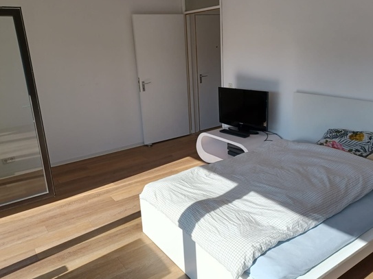 1-Zimmerwohnung mit TV, Wlan, Küche, Dusche/Wc, Waschmaschine und Balkon